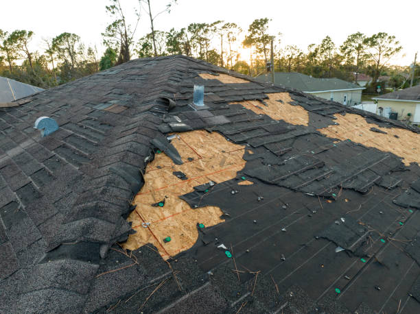 Best Roof Maintenance and Cleaning  in Eldorado At Santa Fe, NM
